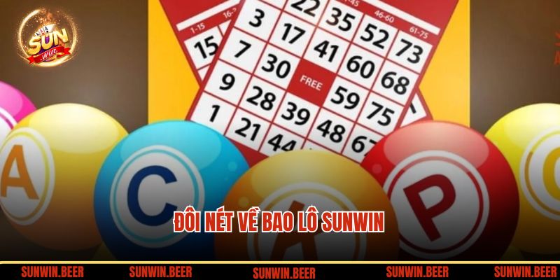 Giới thiệu về bao lô SUNWIN