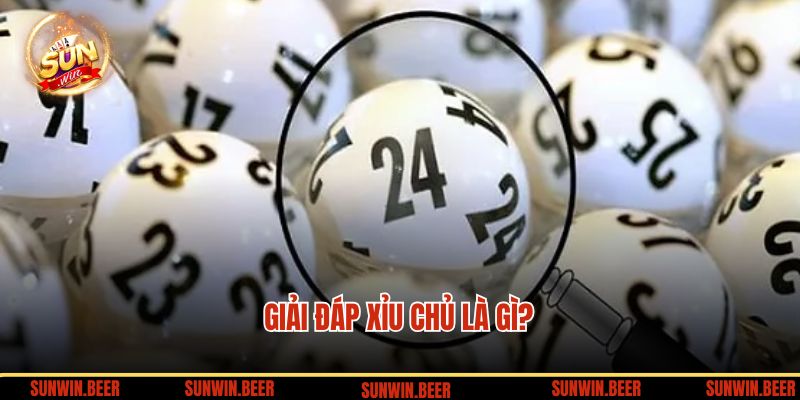 Giải đáp xỉu chủ là gì? 